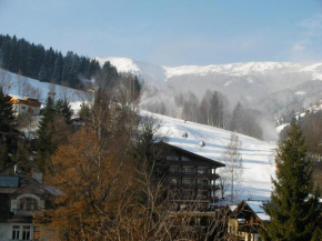 Modern Apartment in Schulstrasse Near Lake and Ski Lifts, Zell am See, Österreich
